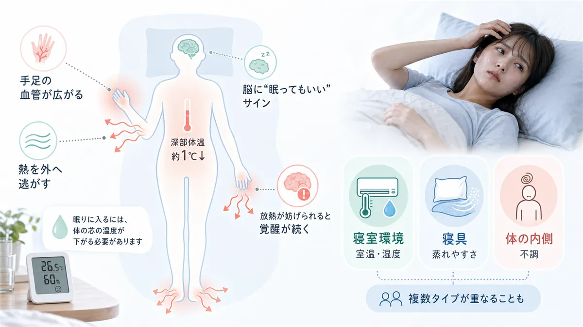 眠りに入るには体の芯の温度が下がる必要があること、寝苦しさを引き起こす3つの主な原因を解説します。