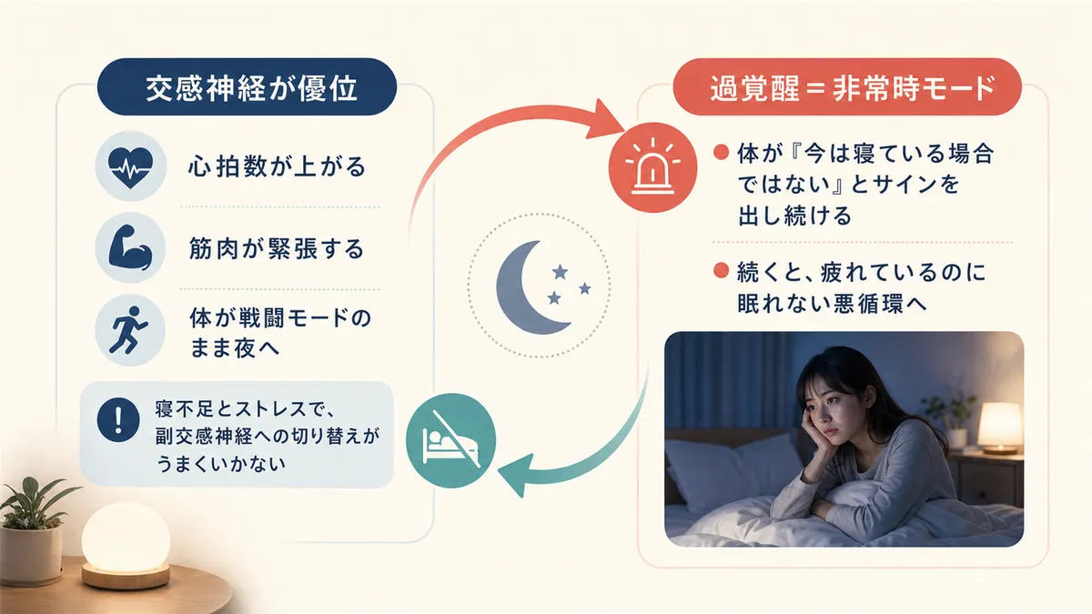 交感神経が活発になると入眠が難しくなる理由と、過覚醒は体の非常時モードであることを紹介します。