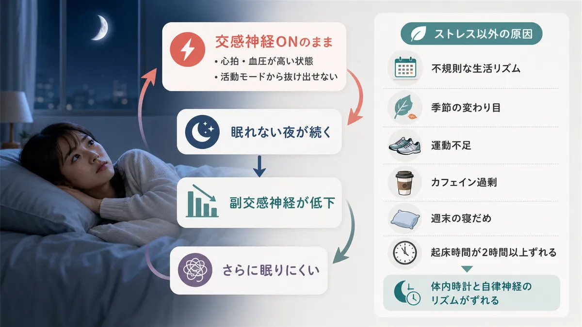 夜になっても交感神経がオフにならない状態と、ストレスだけではない自律神経が乱れる主な原因を解説します。
