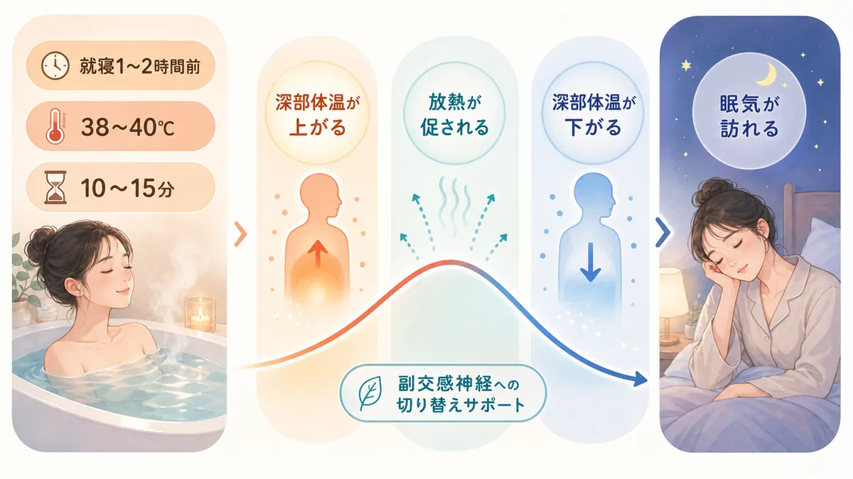 入浴後に深部体温が下がると眠くなる仕組みを解説します。