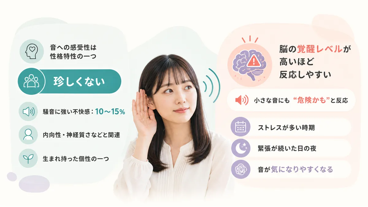 音への感受性は性格特性の一つで珍しくないこと、脳の覚醒レベルが高い人ほど音に反応しやすいことを紹介します。