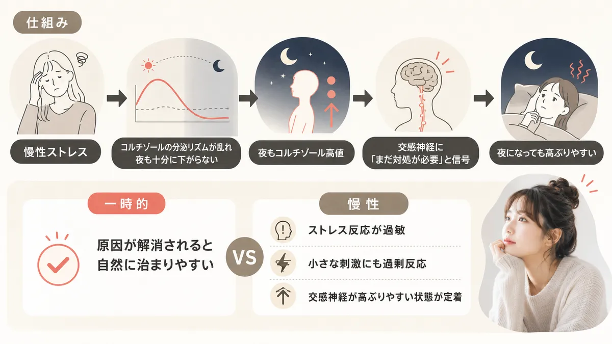ストレスホルモンが交感神経を高ぶらせ続ける仕組みと、一時的なストレスと慢性ストレスの違いを解説します。