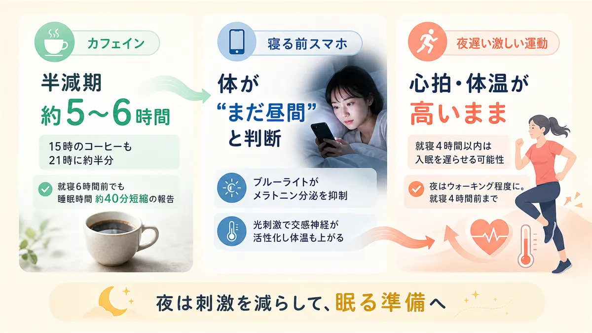 カフェインの居残り効果の長さ、寝る前のスマホが体を昼間モードに巻き戻す理由、夜遅い激しい運動の影響を解説します。