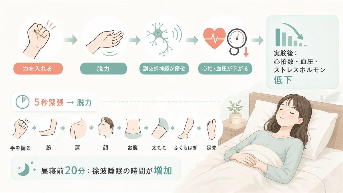 漸進的筋弛緩法が交感神経を鎮めるメカニズムと、ベッドの中でできる簡易版の手順を紹介します。