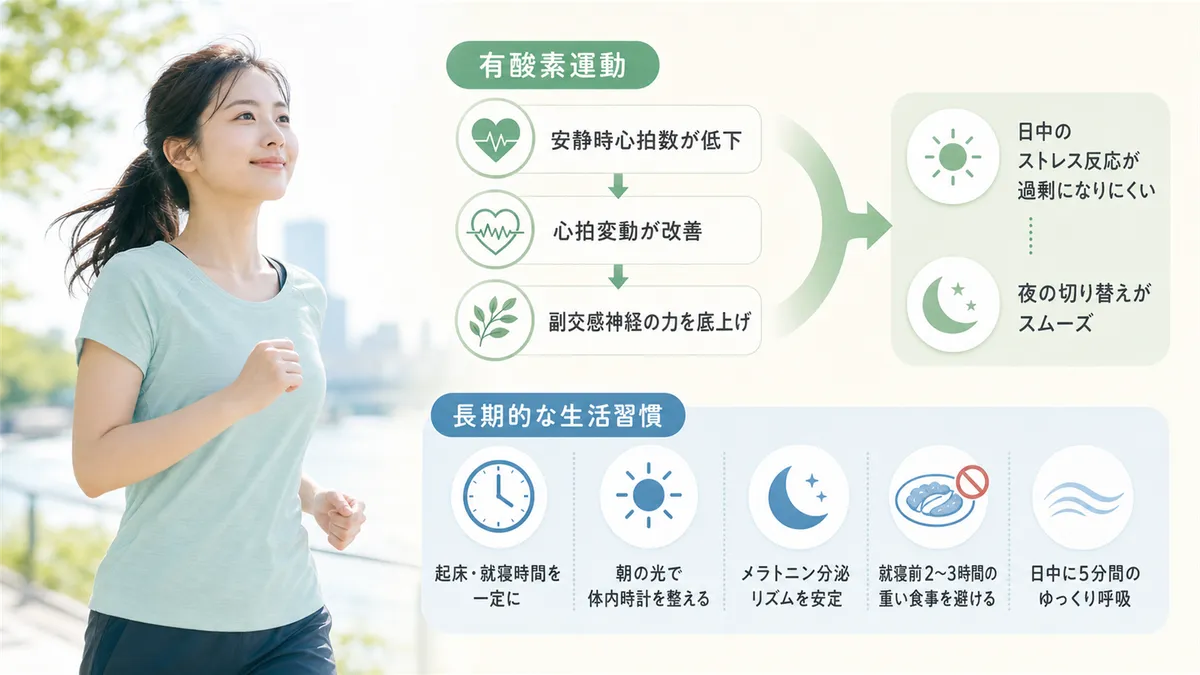 有酸素運動が副交感神経を強くする理由と、運動以外にも効果が期待できる長期的な生活習慣を紹介します。