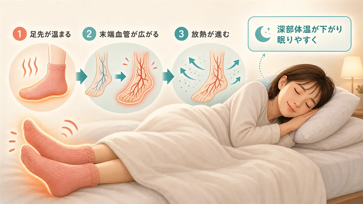 足を温めると血管が広がって放熱が促進され、深部体温が効率よく下がる仕組みを解説します。