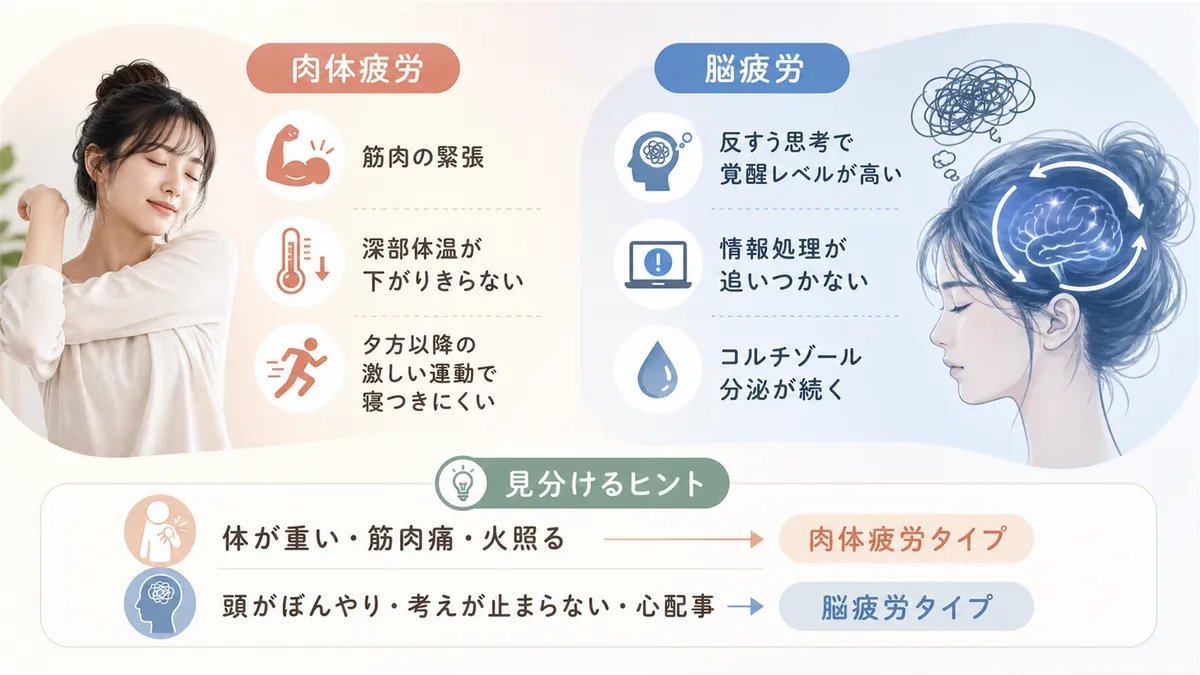 肉体疲労と脳疲労それぞれで体に起きていること、自分がどちらのタイプか見分けるヒントを紹介します。