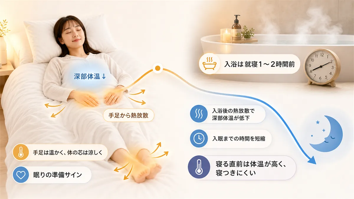 深部体温と入眠の関係、入浴は就寝の1〜2時間前がベストであることを解説します。