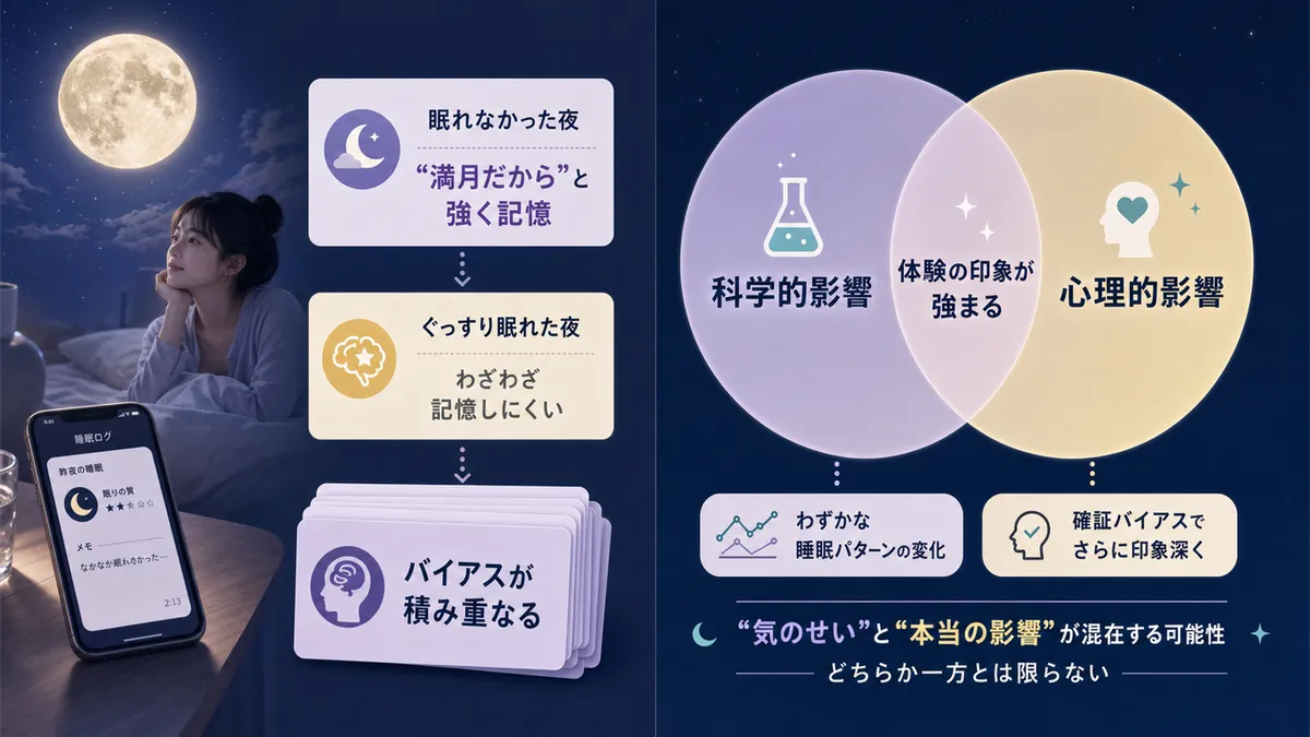 確証バイアスが満月の体験を強める仕組みと、科学的影響と心理的影響は共存しうることを解説します。