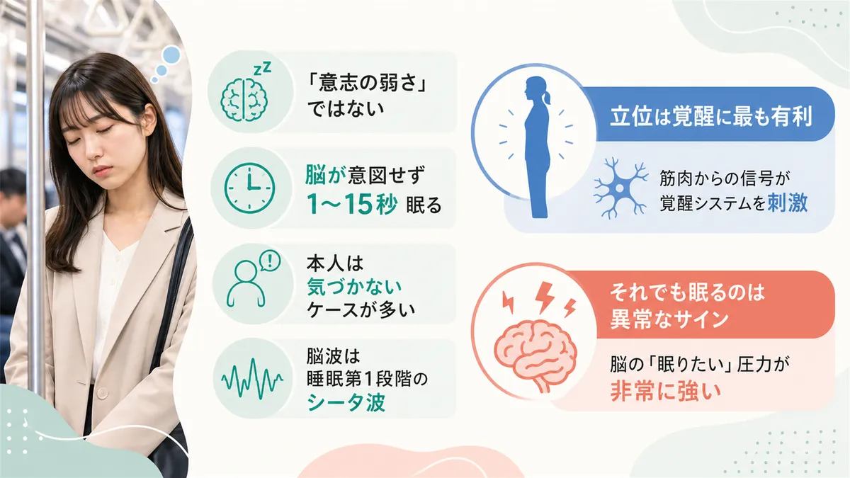 マイクロスリープとは何か、立位は覚醒に最も有利な姿勢でありそれでも眠るのは異常なサインであることを解説します。
