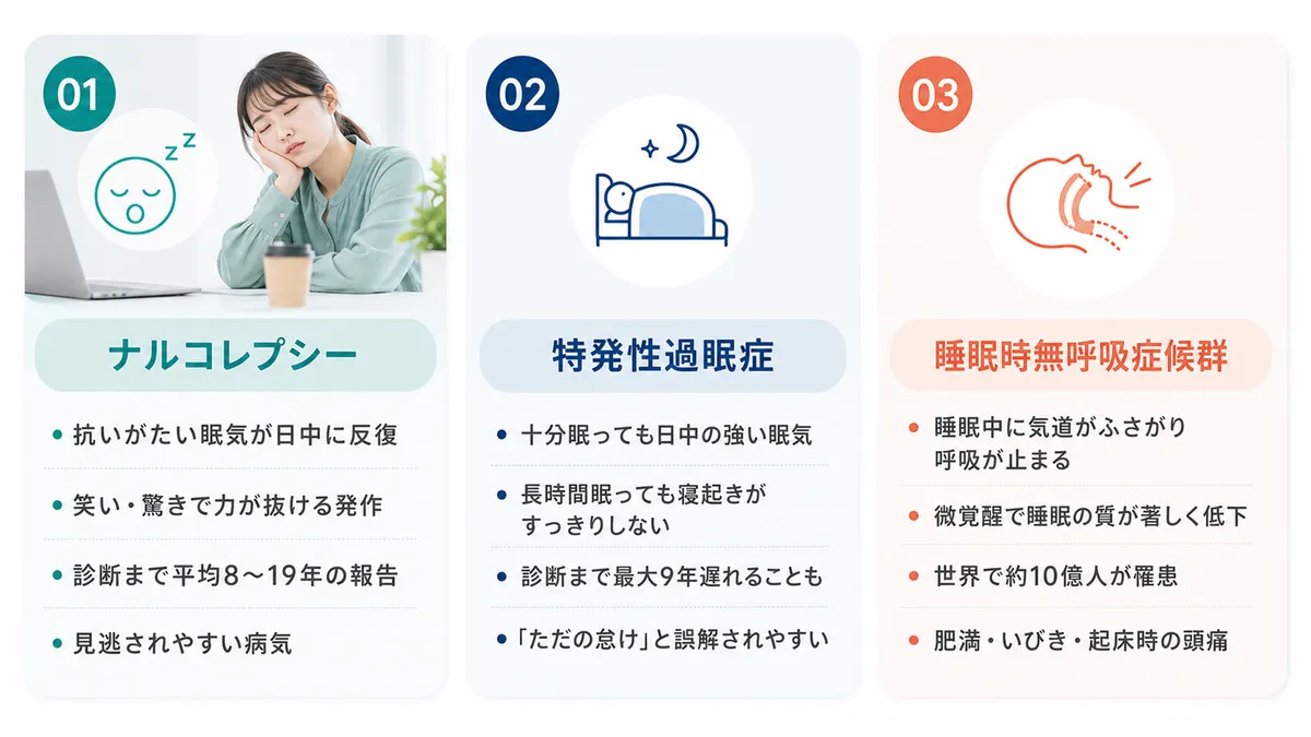 ナルコレプシーの特徴、特発性過眠症の特徴、睡眠時無呼吸症候群と日中の眠気の関係を紹介します。