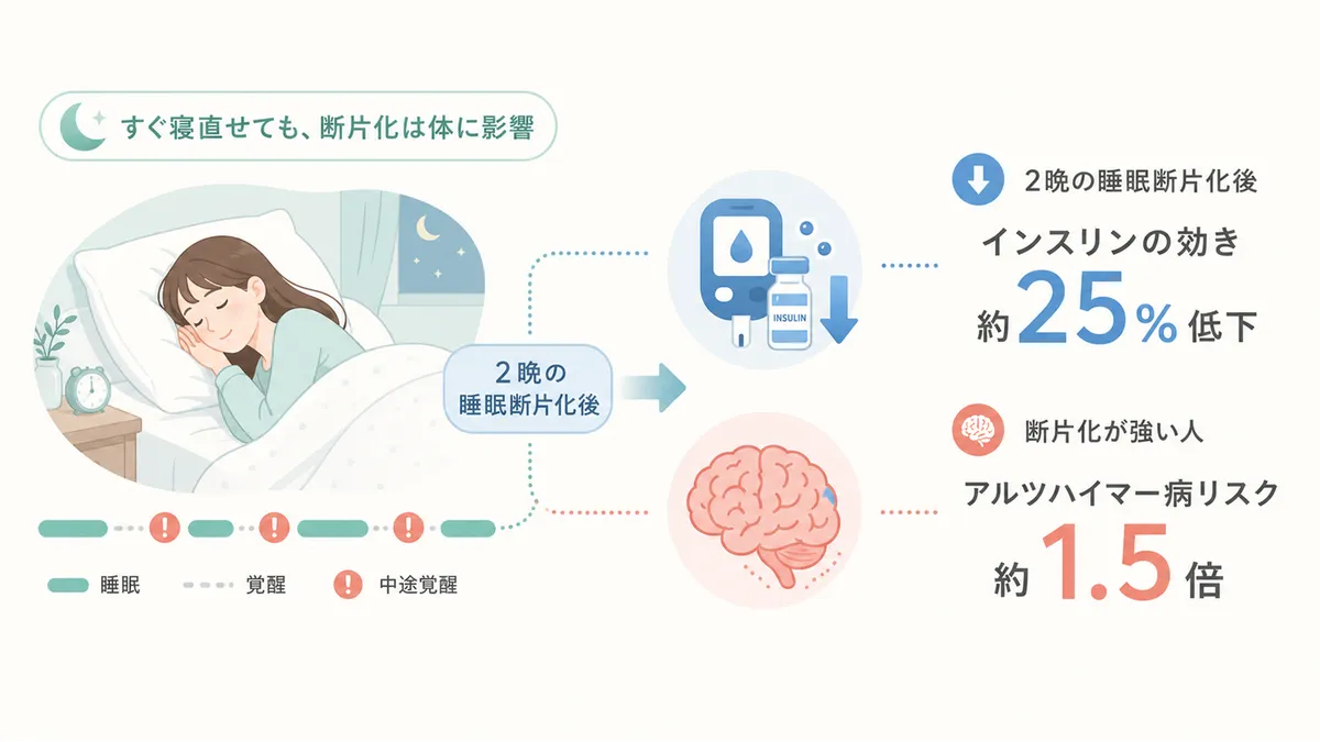 睡眠の断片化が代謝に与える影響について解説します。