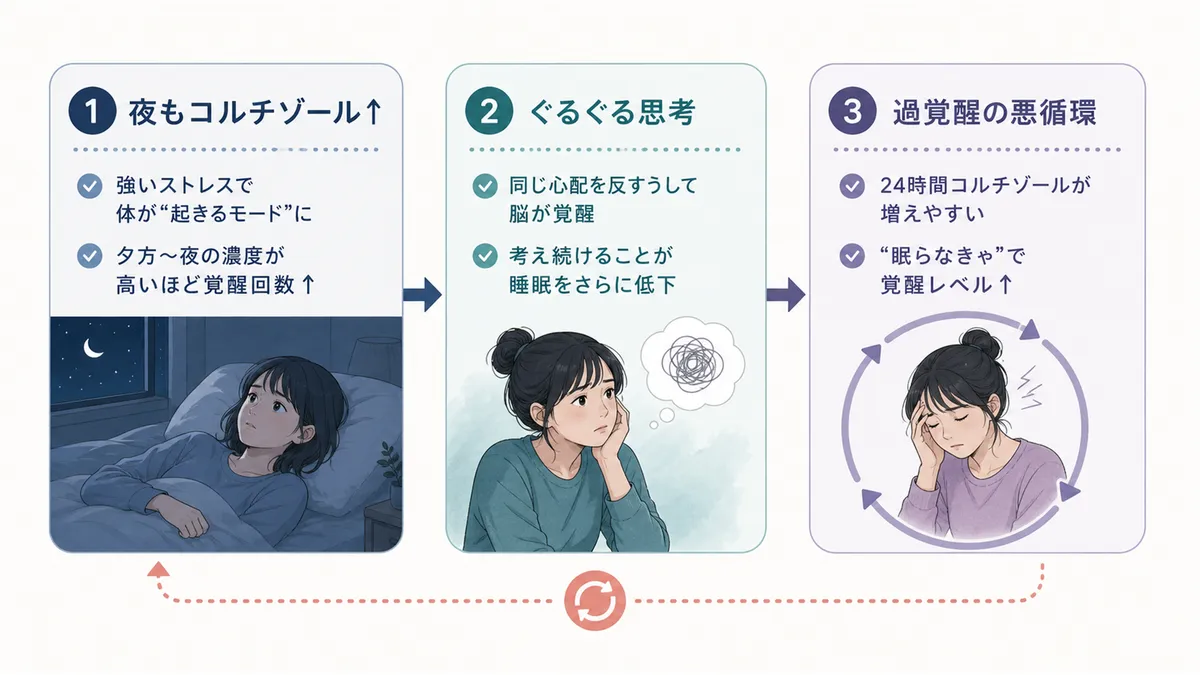 体を起こすホルモンが夜にも増えるメカニズム、ぐるぐる思考と覚醒の関係、過覚醒が不眠を慢性化させるしくみを解説します。