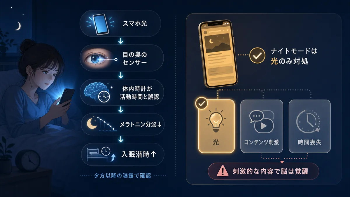 ブルーライトがメラトニン分泌を抑えるメカニズムと、ナイトモードだけでは十分とは言えない理由を紹介します。