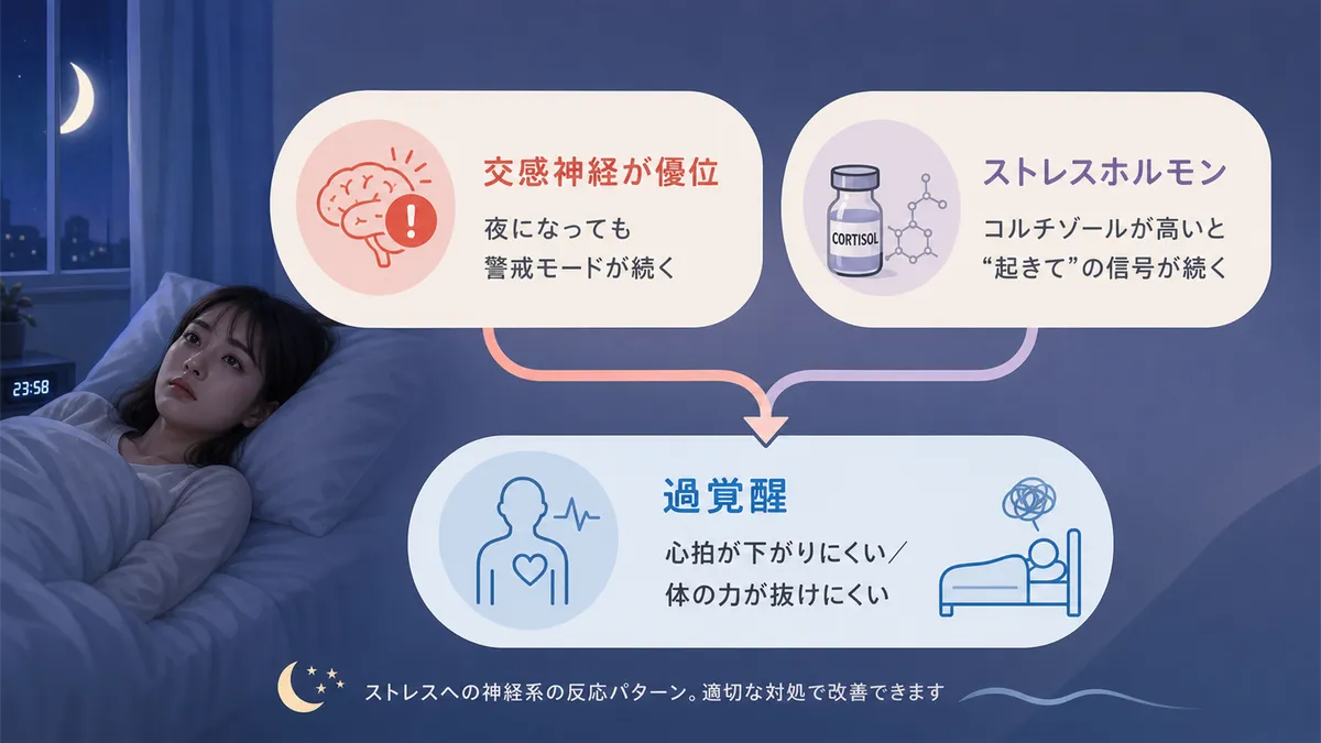 交感神経とストレスホルモンが入眠を妨げる仕組みと、過覚醒状態が入眠を遠ざけることを解説します。