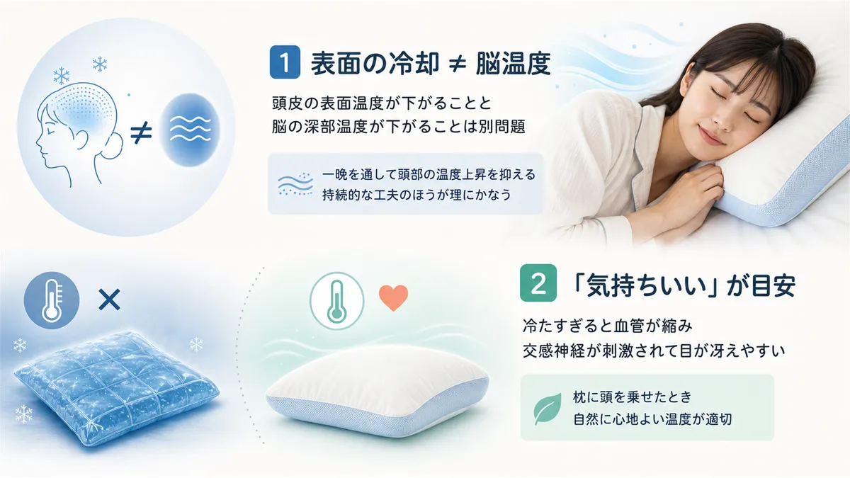 表面的な冷却と脳温度への影響は別問題であること、快適な涼しさと不快な冷たさの境界線を解説します。