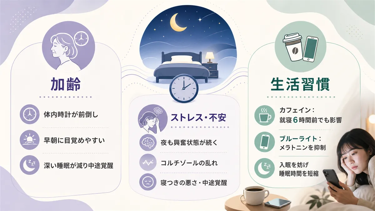 加齢による体内時計の変化、ストレスや不安が招く寝つきの悪さや中途覚醒、カフェインやブルーライトなど覚醒を促す生活習慣を解説します。