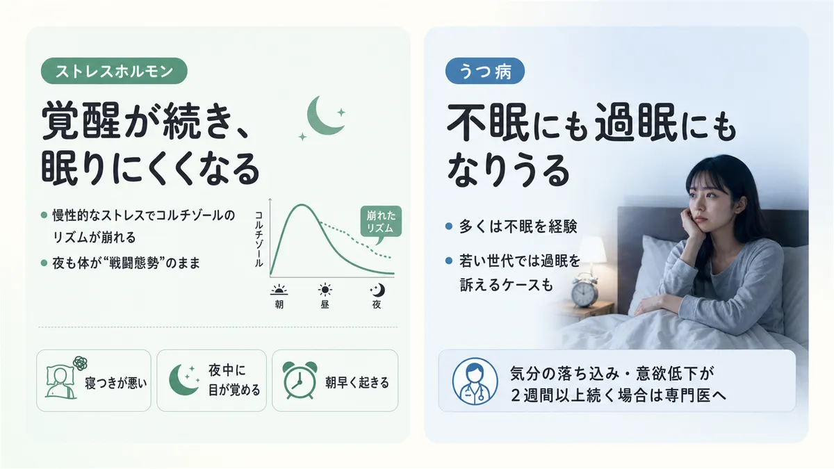 ストレスホルモンが覚醒を維持し眠れなくすること、うつ病では不眠にも過眠にもなりうることを解説します。