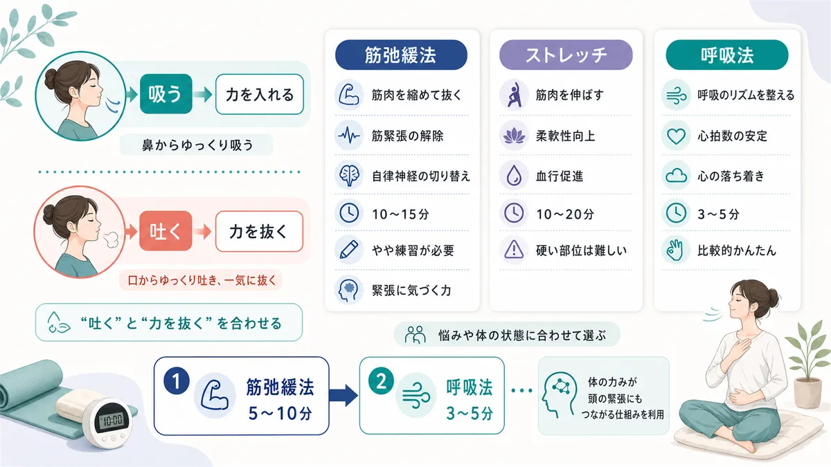 息を吸いながら力を入れ吐きながら力を抜くタイミング同期法、筋弛緩法・ストレッチ・呼吸法の違い、組み合わせるならこの順番がおすすめであることを紹介します。（筋弛緩法：筋肉を縮めて抜く・筋緊張の解除と自律神経の切り替え・所要10〜15分・やや練習が必要、ストレッチ：筋肉を伸ばす・柔軟性向上と血行促進・所要10〜20分・体が硬いと難しい部位あり、呼吸法：呼吸のリズムを整える・心拍数の安定と心の落ち着き・所要3〜5分・比較的かんたん）