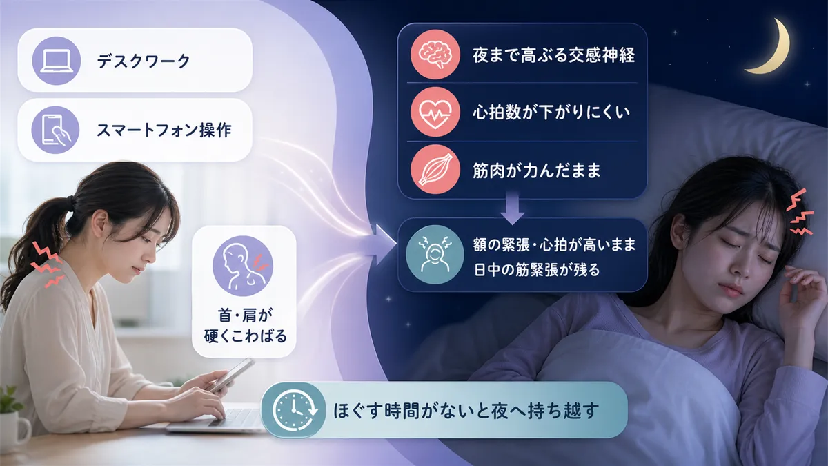 交感神経が夜まで高ぶり続けるとどうなるか、日中に蓄積した筋緊張が夜に残るメカニズムを解説します。