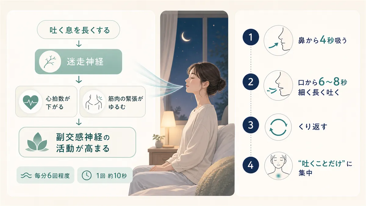 吐く息を長くすると体がゆるむ仕組みと、寝る前に試せるゆっくり呼吸のやり方を紹介します。
