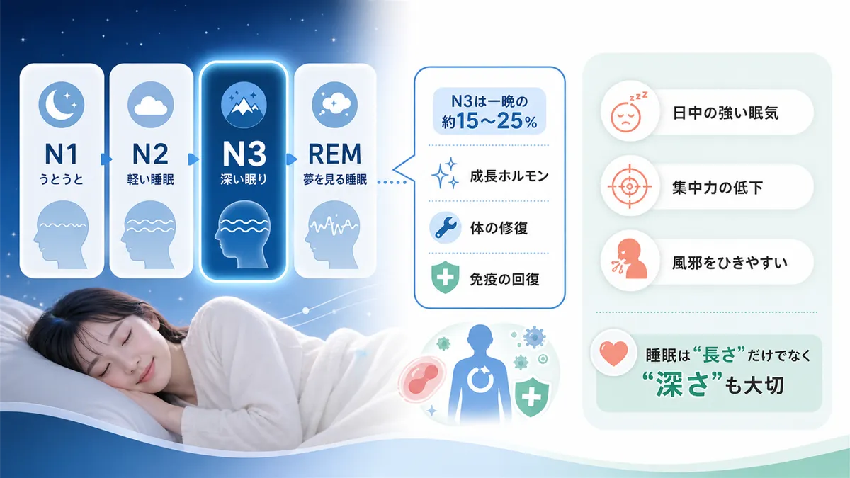 睡眠の4つのステージと「深い眠り」の役割、深い眠りが不足すると体にどんな影響が出るのかを解説します。