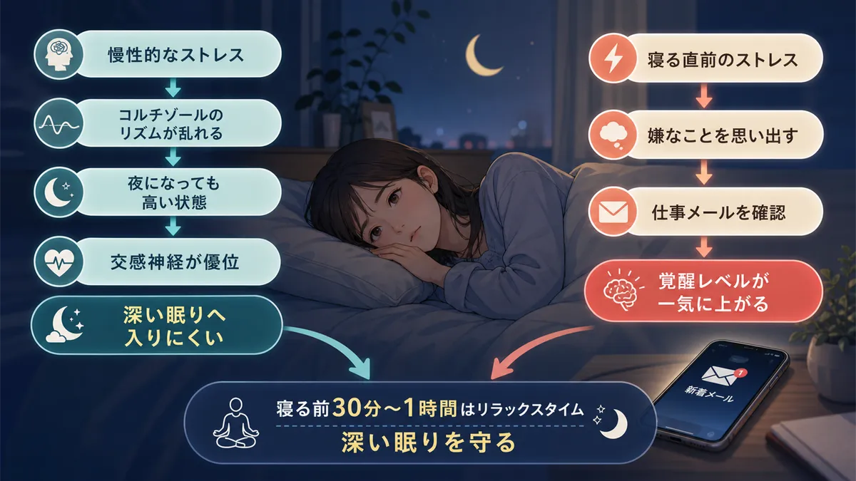 コルチゾールと交感神経が深い眠りを妨げる仕組みと、寝る直前のストレスが特に影響する理由を解説します。