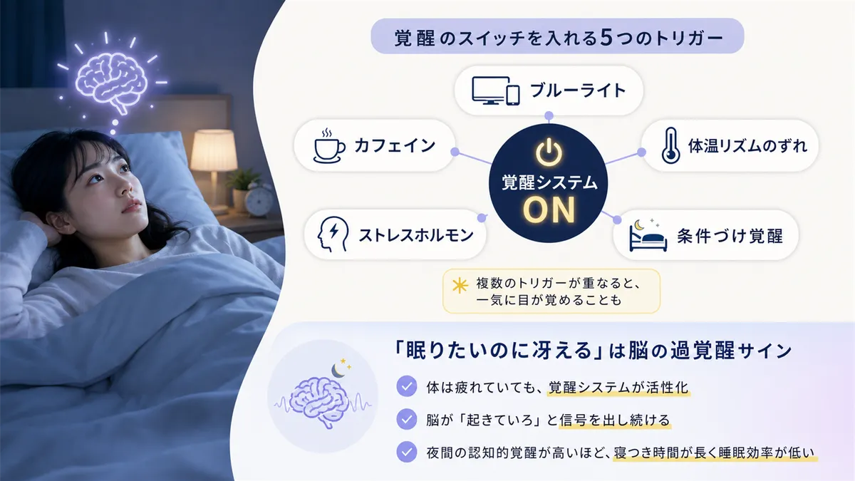 覚醒のスイッチを入れる5つのトリガーと、「眠りたいのに冴える」は脳の過覚醒サインであることを解説します。