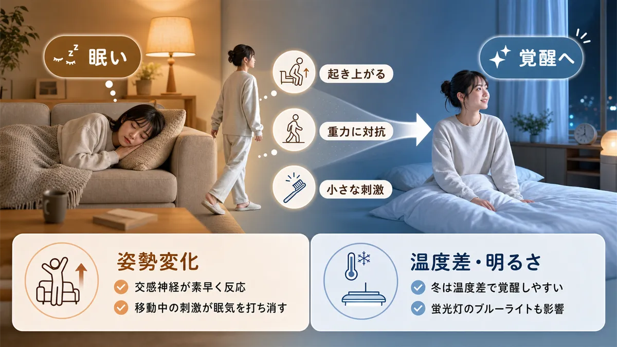 姿勢を変えるだけで交感神経のスイッチが入ること、リビングと寝室の温度差・明るさの差も原因になることを解説します。