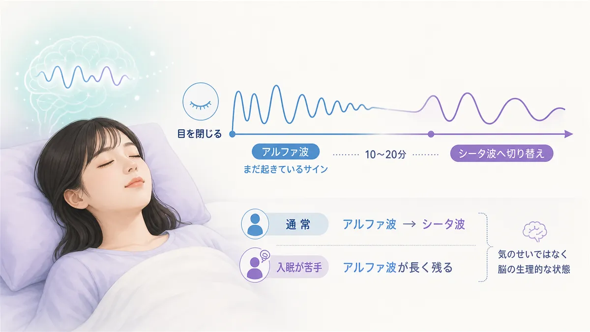目を閉じた状態はまだ覚醒のはじまりにすぎないこと、入眠時の脳波が切り替わらない人の特徴を解説します。