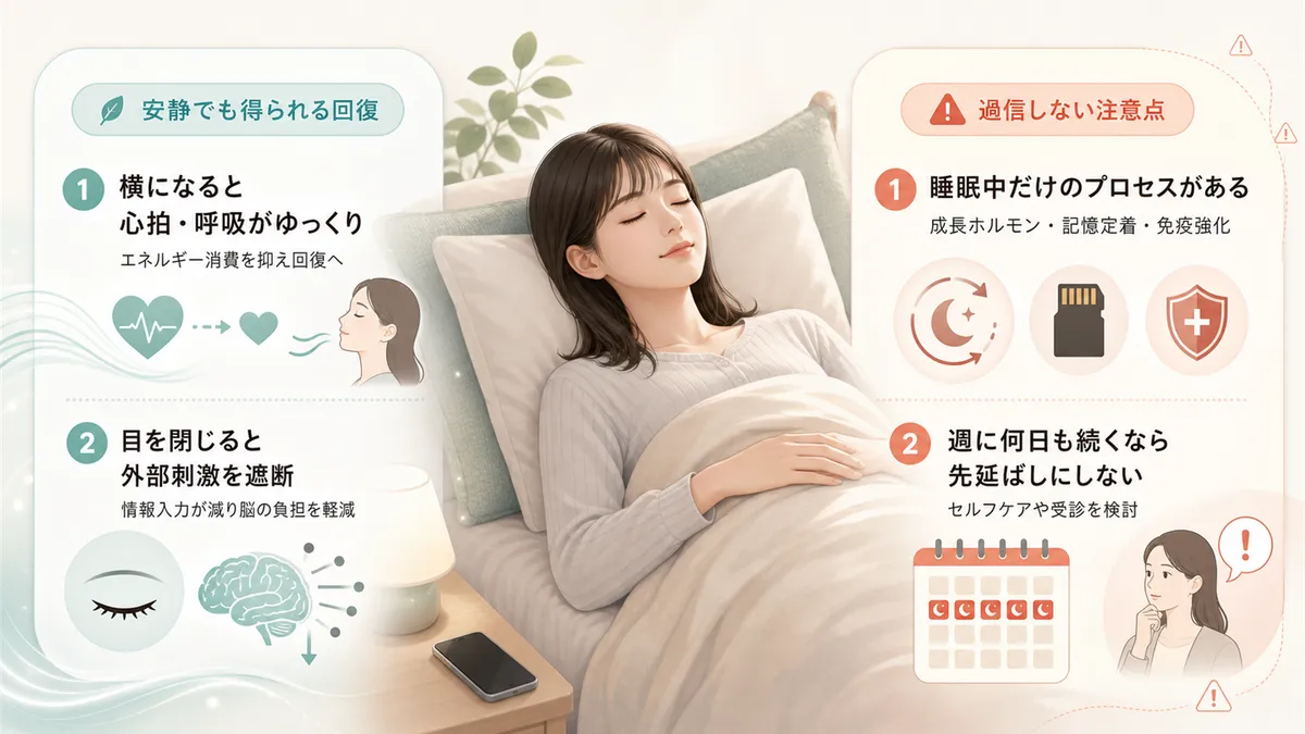 安静にしているだけでも得られる回復効果と、ただし「横になるだけでOK」を過信しない注意点を解説します。